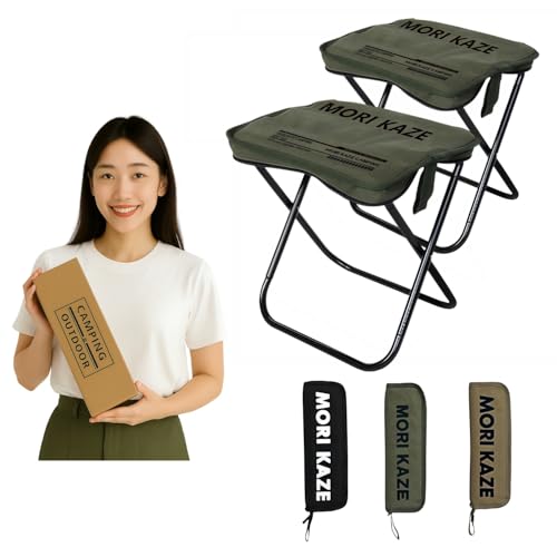 LIUSHUYAN 2個セット 折りたたみ椅子 コンパクト 超軽量 310g 持ち運び 航空アルミニウム 耐荷重85kg 折りたたみチェア 収納ケース一体型 アウトドア キャンプ 日本語取扱説明書付き お花見 釣り バーベキュー 運動会 オリジナルデザイン
