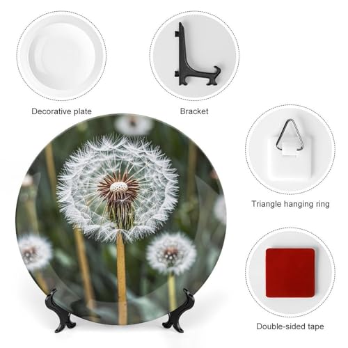 Plato decorativo de porcelana hueso blanco 6 pulgadas miniatura 3