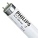 10 Stück Leuchtstofflampe TL-D 18 Watt 865 - Philips