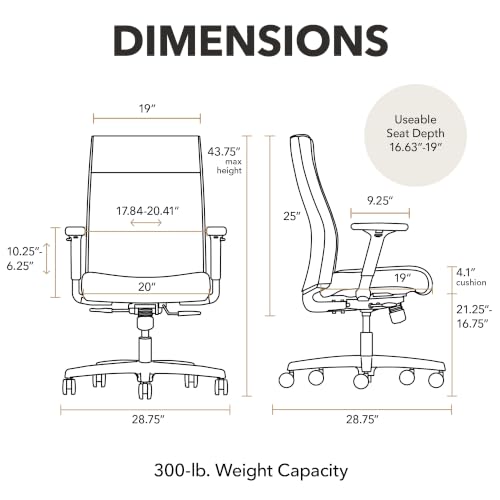 Image of HON Ignition 2.0 Ergonomic Office Chair, Lumbar Support, Desk Chair, Pear