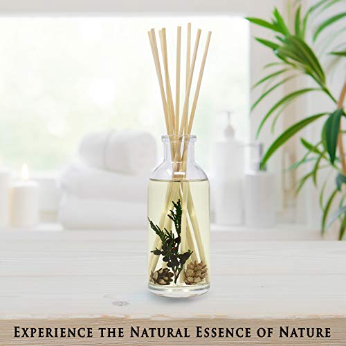 Bundle Difusor y Repuesto Fragancia Balsam Forest miniatura 5
