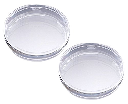 根っこ付き確認画像です♪ Amazon | Falcon セルカルチャーディッシュ 100mmスタンダード