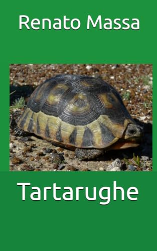 Tartarughe