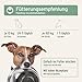 AniForte Bio Ägyptisches Schwarzkümmelöl für Hunde & Pferde 500ml - Kaltgepresstes, natürliches Schwarzkümmel Öl, Barf Zusatz in Premium Qualität, Recyclebare Verpackung