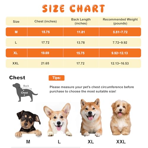 Ropa para perros y gatos paquete 3 piezas XXL miniatura 5