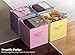 Sorbus Fabric Storage Cubes - 6 Foldable Storage Bins for Organizing Pantry, Cubbies, Toy Box - Clothes Storage & Closet Organizer - 13 Inch Collapsible Cube Baskets for Shelves with Handle