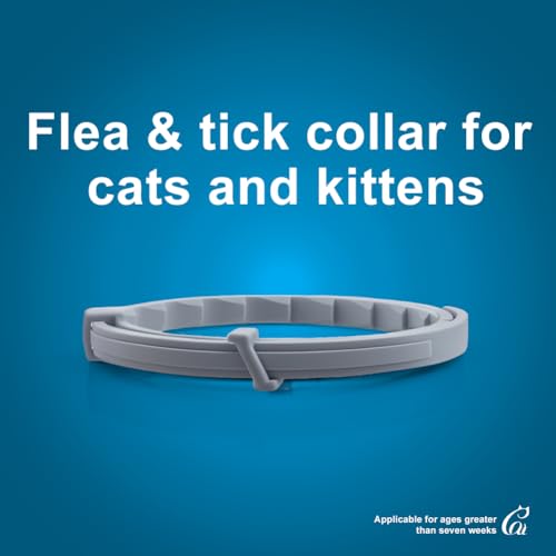 Flea Collar for Cats, Cat Flea Tick Collar with Plant-Based Ingredients, Tick Collar for Cats Designed for Long-Lasting Daily Wear, Flea and Tick Collar for Cat Indoor & Outdoor Use, 2 Pack - Image 3