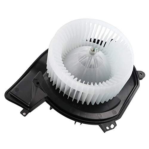 Dekalaii 52495490 700098 Heater Blower Motor with Fan Cage for 2000 2001 Buick