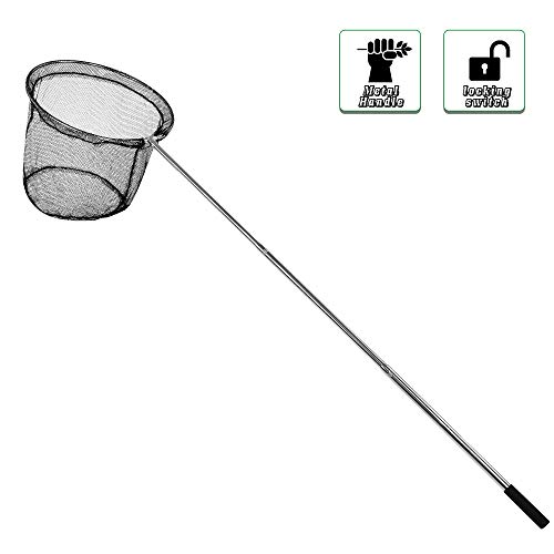 La red de aterrizaje para pesca y la red de cebo con mango telescópico se extiende hasta 1,8 m