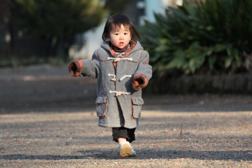 Image of Canon EF-S 55-250mm f /4-5.6 is II Telephoto Zoom Lens for Canon DSLR Camera [Black]