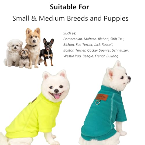 2 Stück/3 Stück Fleece Hundepullover für kleine Hunde, weicher Warmer Rollkragen Hunde Sweater Mantel, Haustier Welpe Katze Winterbekleidung (A-Grün Gelb, L)