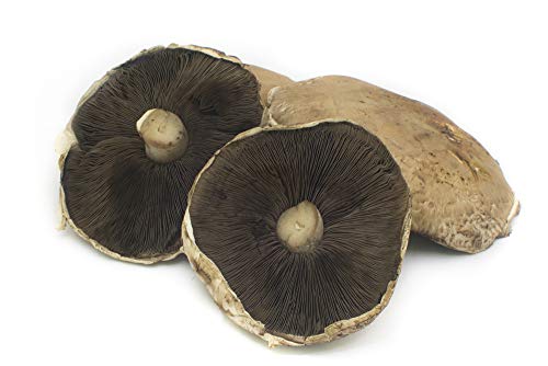 Fresh Produce Portobello Mushroom 250g