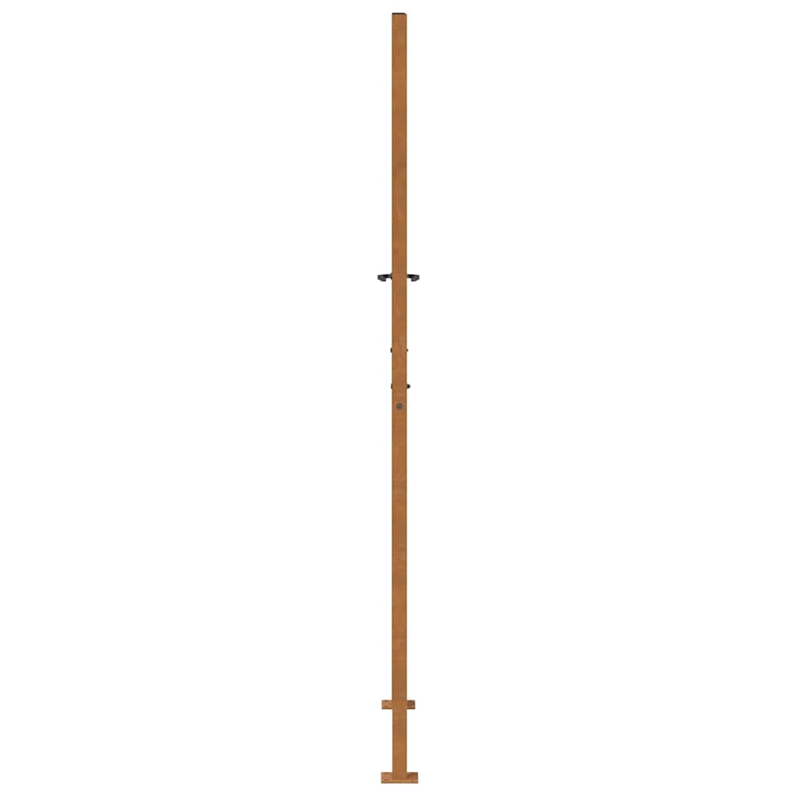 Brama ogrodowa 100 x 200 cm, stal Cortena, rustykalny design, z zamykanym systemem, stal odporna na warunki atmosferyczne, 1 sztuka, do ogrodu, na taras i wejście do działki