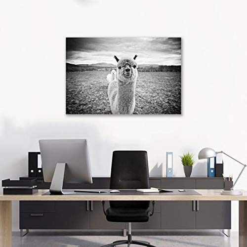 Impression alpaga noir et blanc avec cadre déco murale salon moderne 90x140 cm - 5