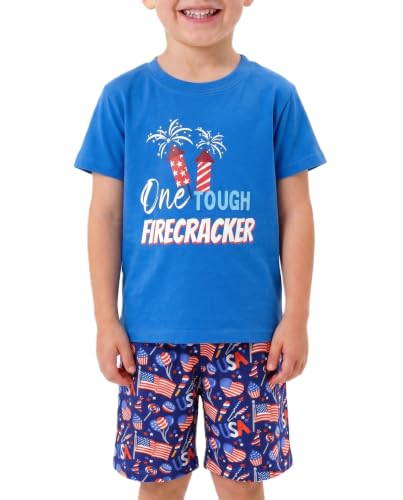 Image of Boys 2pc Shorts Set Outfit Short Sleeve Shirt with Fun Applique Print and Shorts