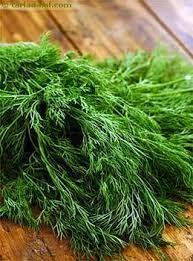 Saag Soya Seed 20 SEED (B09KN7LXGM) Amazon Price History, Amazon Price Tracker