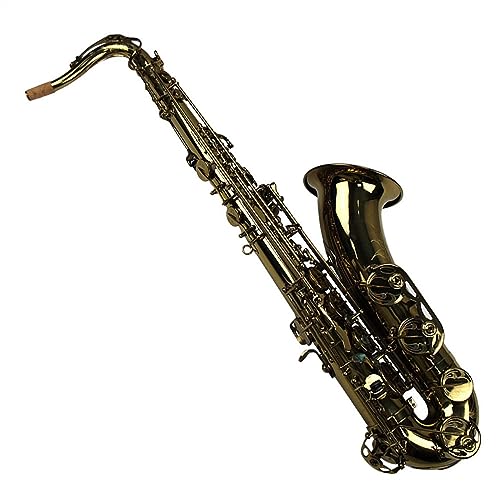 vtFbVi TbNX vtFbVi^J{fBS[hJ[ Bb g[ei[TbNXǊy}EXs[X