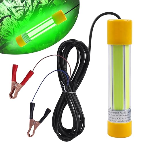 Super Bright Underwater Fishing Light, 20W 12V 16000 Lumens IP68 Waterproof LED Submersible Fish Lamp Night Fishing Dock Boat Deep Drop Light for Crappie Squid Shad Shrimp Prawns