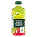 Starbucks Refreshers Concentrate Lime Watermelon, Refreshing Drink, Cold Drinks 32 fl oz