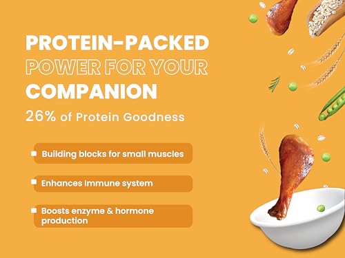 Bark Out Loud Adult Dry Dog Food, Chicken & Ancient Grains | Low Grain Dry Dog Food for Medium & Large Breeds | High Protein Kibbles with Prebiotics, Super Herbs, Antioxidants & Fibre 2 kg