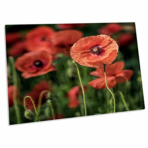 3dRose Red Poppy Flowers en Alfombrilla de Escritorio miniatura 1