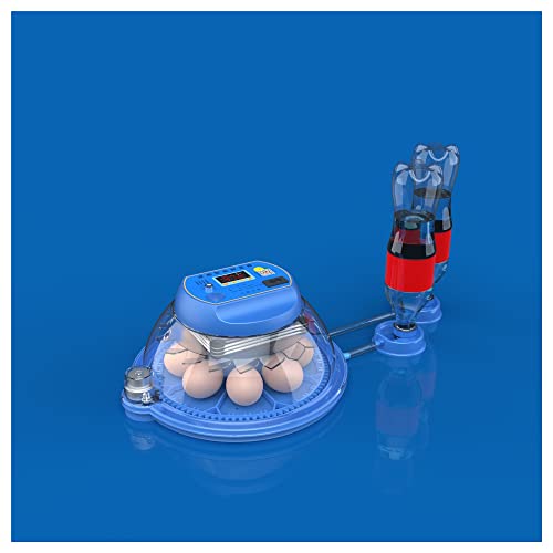 Incubateur automatique pour oeufs à couver anti-perte pour 8 oeufs de caille