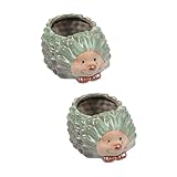 Pot de fleurs hérisson : un cadeau inhabituel : c'est le cadeau parfait pour vos amis et votre famille qui aiment jardiner, profiter de la décoration de leur maison. Il est unique et amusant à utiliser comme cadeau d'anniversaire, de pendaison de crémaillère, etc. Je suis sûr que tout le monde l'adorera