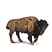 Collecta Bisonte americano