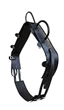 [page_title]-AMKA Voltigiergurt Cheval Warmblut mit 2 Beinschlaufen, schwarz 057/88
