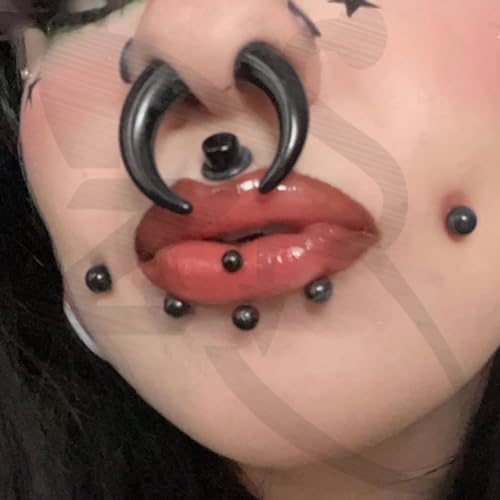 ZS 2Pcs Pincher Tapers Septum Rings, 2G 4G 6G 8G 10G 14G 16G Buffalo Horseshoe Stretcher Expander Piercing for Stretching Pierced Nose Ear Gauge for Women Men3