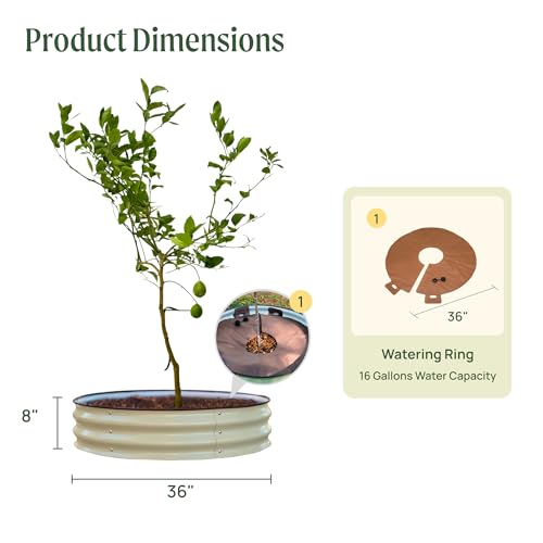 Image of Vego garden Raised Garden Bed 8 inch Tall Tree Surround with Watering Ring, Pearl White