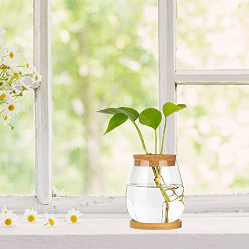 Desktop Glass Plants Terrariums Propagation Station Hydroponic Plants Planter Container Clear Flower Vase With Wood Lid And Bamboo Stand Table Office Kitchen Countertop Window Decorations Gifts #TOP2