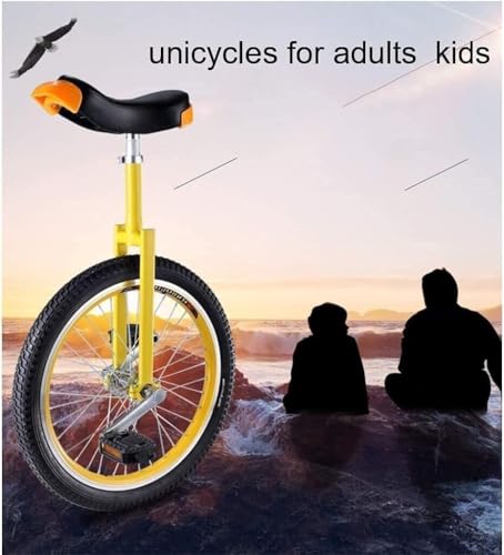 Monocycle de fitness en plein air pour adultes et adolescents – Options de roue de performance sur scène