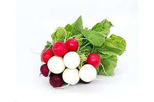 Organic Mixed Variety Radishes - 12 Oz
