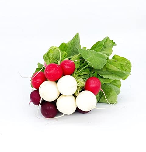 Organic Mixed Variety Radishes, 12 Oz