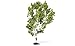Hornby R7215 Birch Tree Scenic Materials, Multi