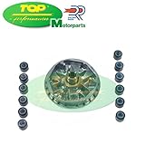  9923410 VARIATORE SERIE RULLI TPR HONDA SH IE SCOOPY 125 2005 2012 TOP PERFORMANCE