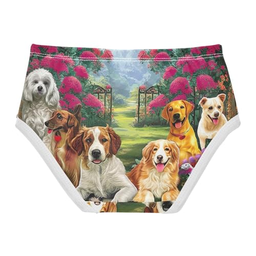 Countryside Manor Dogs Toddler Girl Undies, Kids Underwear, 2T–8 Years2