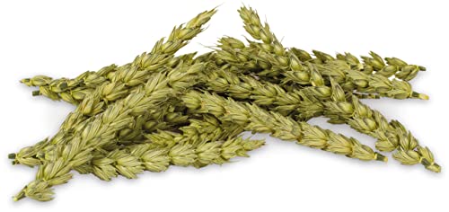 JR FARM Knabber-Ähren 30 g