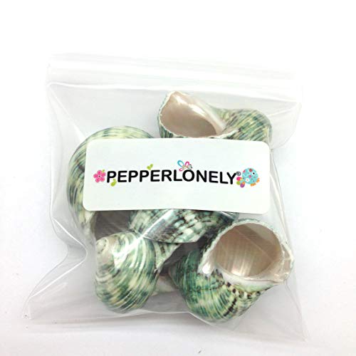 Image of PEPPERLONELY 5 PC Natural Hermit Crab Shells, Polished Green Turbo Sea Shells, 1-3 /4 Inch ~ 2-1 /4 Inch
