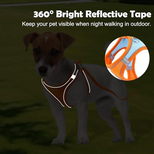 Verstellbares Katzengeschirr, Air-Mesh Atmungsaktiv Brustgeschirr mit1,5m Leine, Weich Gepolstert Hunde Geschirr, Katzenleine Kitten mit Reflektierenden Streifen, Katzen Weste (Rosa, 3XS)