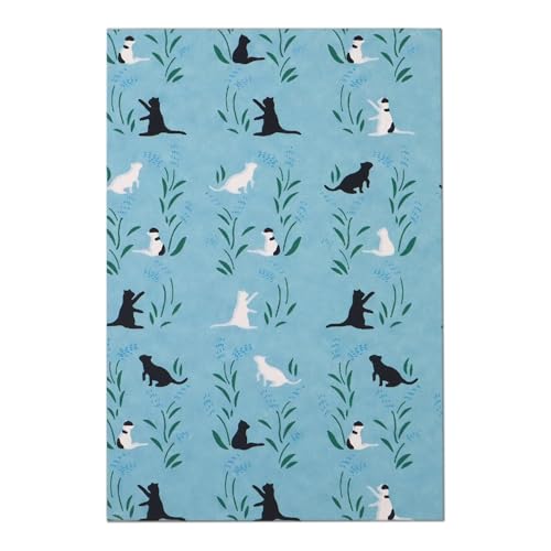 炵   킢 唻 TCY FT (Jo[Ȃ, ˂a(F))