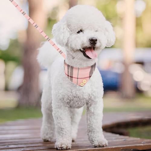 Hundehalsband und Leine mit Fliege, Set für kleine Hunde – Welpenleine Halsbänder klassisch rosa kariert – verstellbare Größe mit Goldener Glocke – perfekt für kleine Rassen und Mädchen