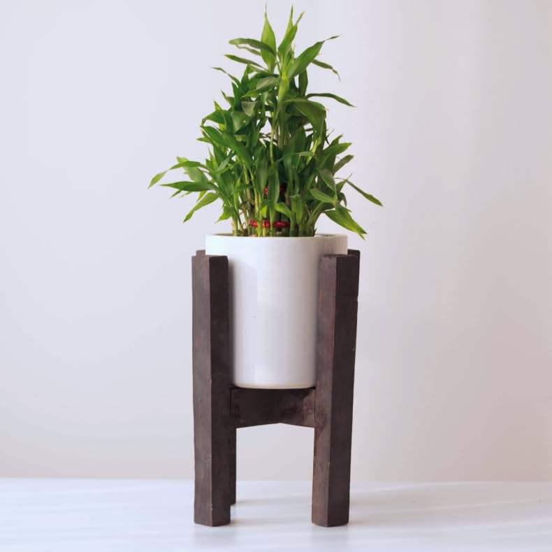 The Golden Theory White Ceramic Flower Vase/Planter with Wooden Stand Planters for Indoor Plants for Home Decor