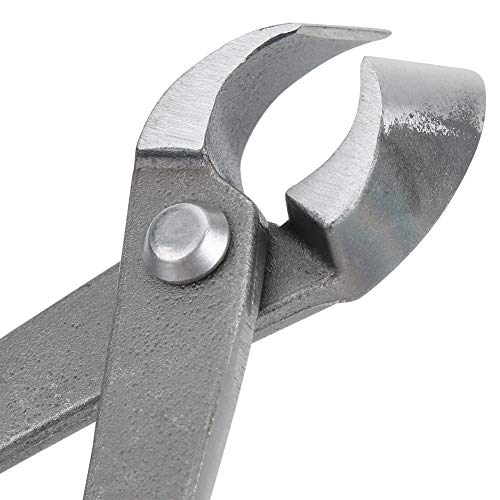 Consejos y reviews para comprar Cortadoras para bonsai los 10 mejores. 12 Imagen adicional