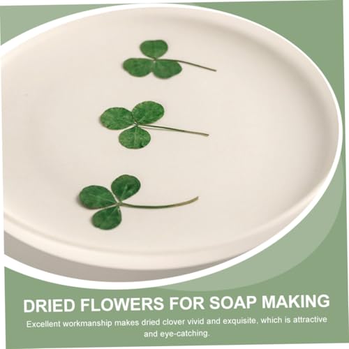 24 hojas secas de trébol prensado natural para manualidades miniatura 5
