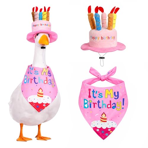 SKOVTRAE Happy Birthday Goose Outfit Porch Goose Outfits with Happy Birthday Cake Hat and Bandana Yard Geese Outfits for 23 17 Cement/Plastic Porch Goose Outdoor Statue Patio Yard Lawn Art (Pink)
