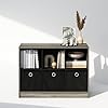 Furinno Cubic Closet Organizers and Storage, 6-Cube Closet Organizer with Bins, Open Shelf Storage, for Wardrobe, Bedroom, Living Room, French Oak/Black