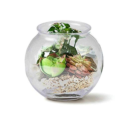 Kicko Plastic Ivy Bowls - 6 Pack Of 16 Oz. Tub - Perfect For Home Decor, Centerpiece, Carnival Game Accessory, Ornament Holder, Party Supplies, Sweet Treats #TOP5