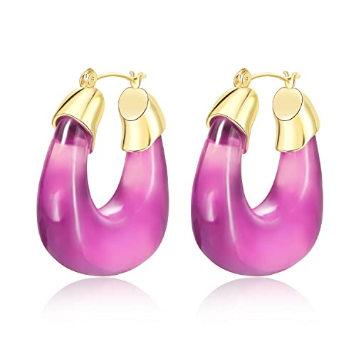 Viennois Resin Acrylic Hoop Earrings, Geometric U-Shaped Summer Statement Earrings For Women Girls (Rose Pink) #TOP10